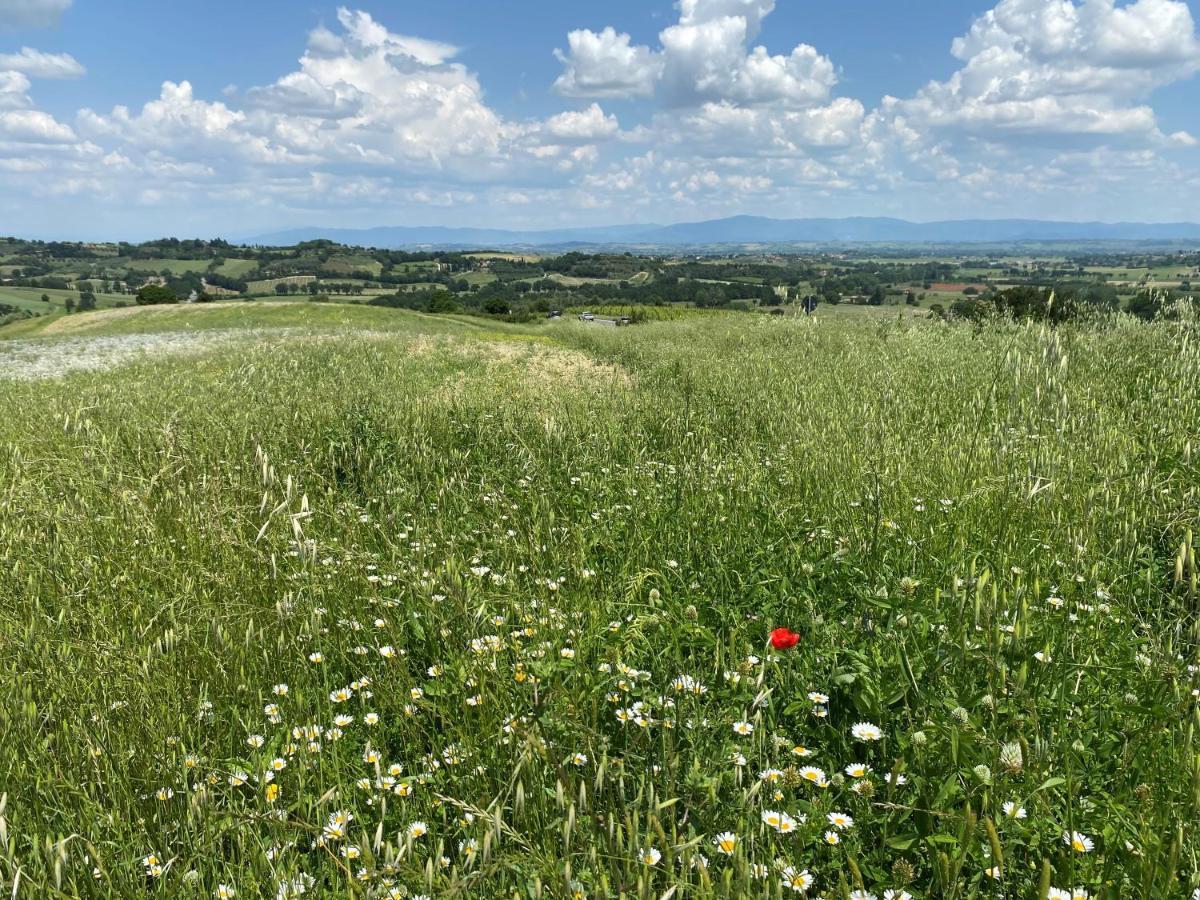 Agriturismo La Collina Siena Ngoại thất bức ảnh
