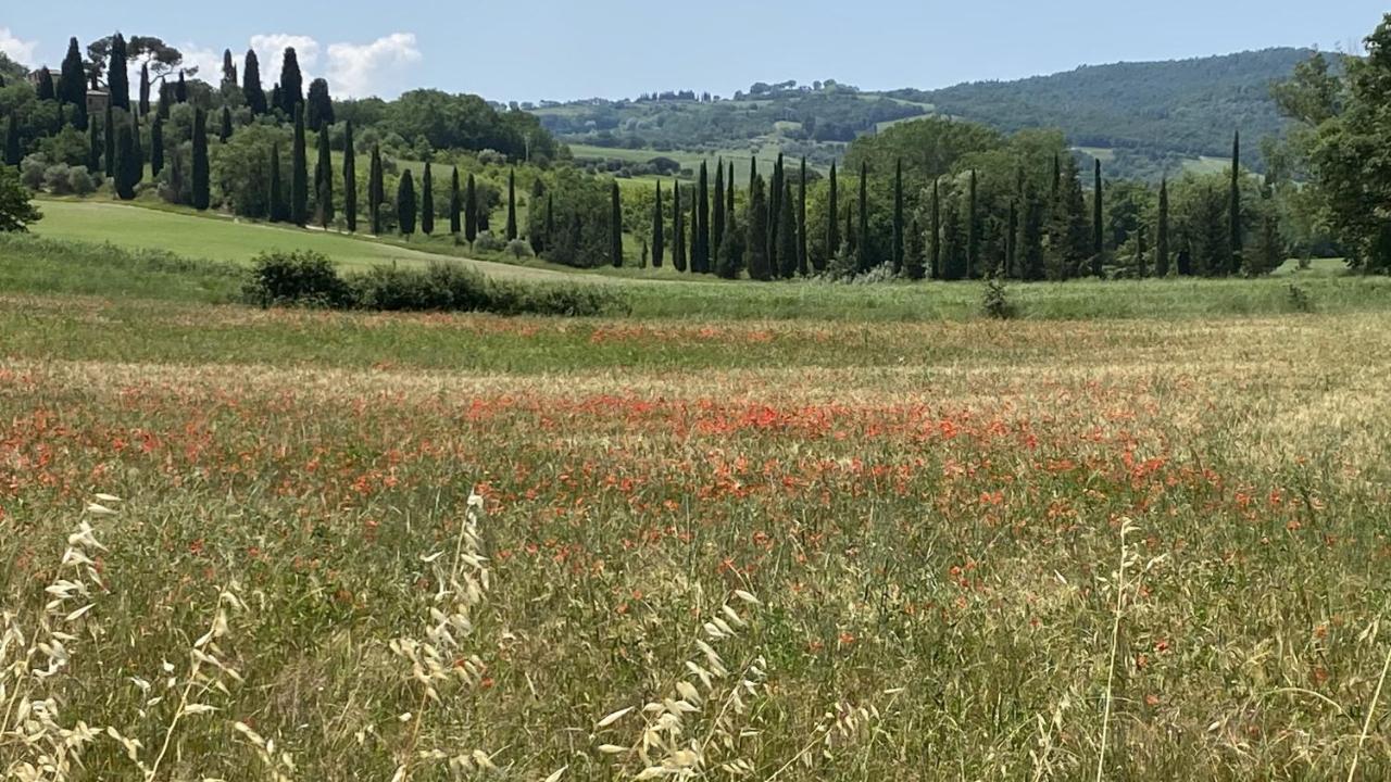 Agriturismo La Collina Siena Ngoại thất bức ảnh